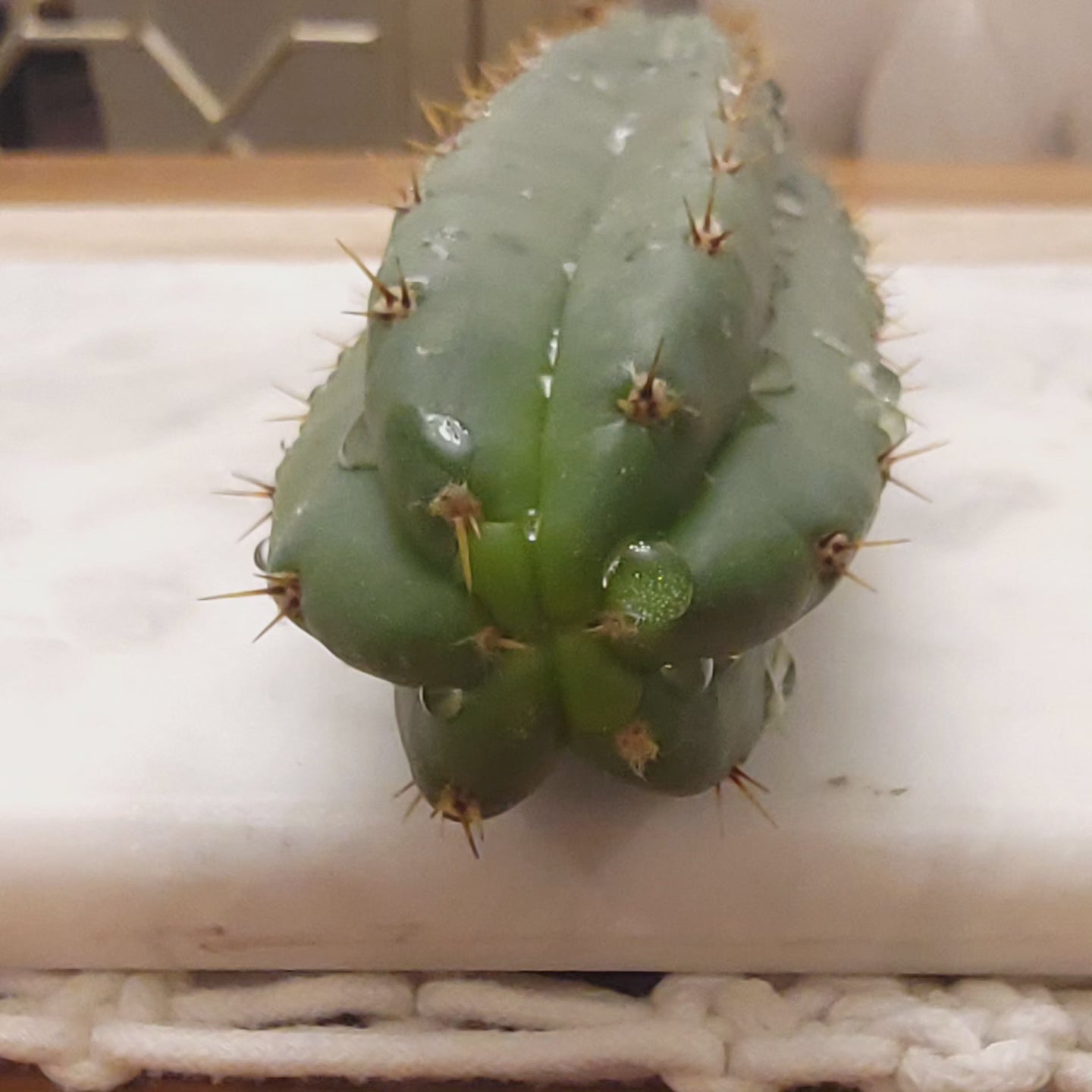 TPM