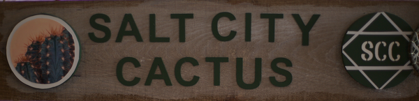 saltcitycactus